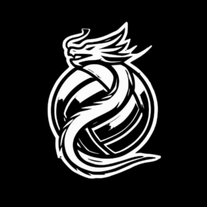 Dragon volleyball logo