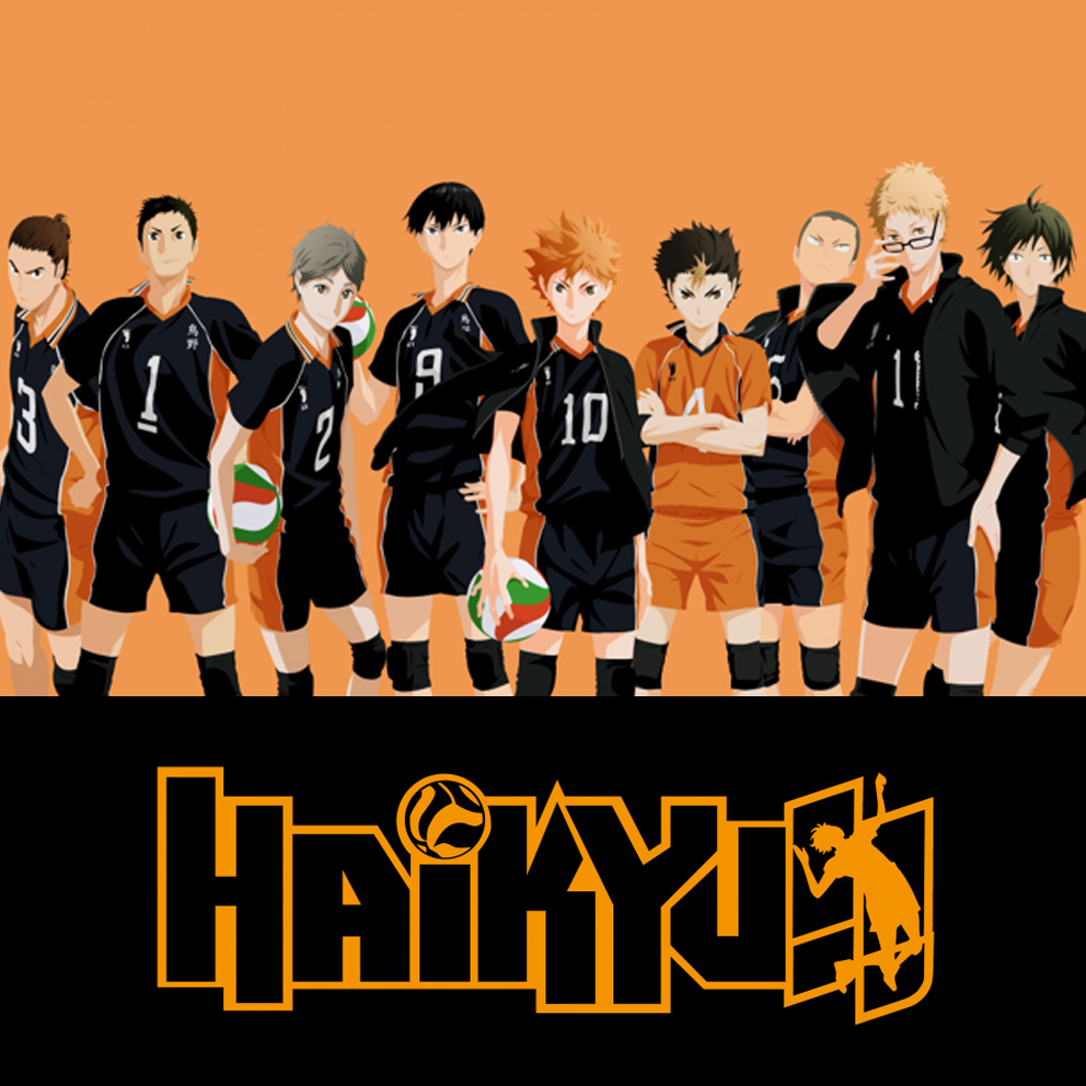 Haikyuu team